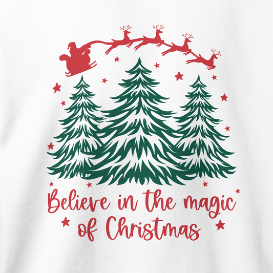 Believe Christmas Sweatshirt