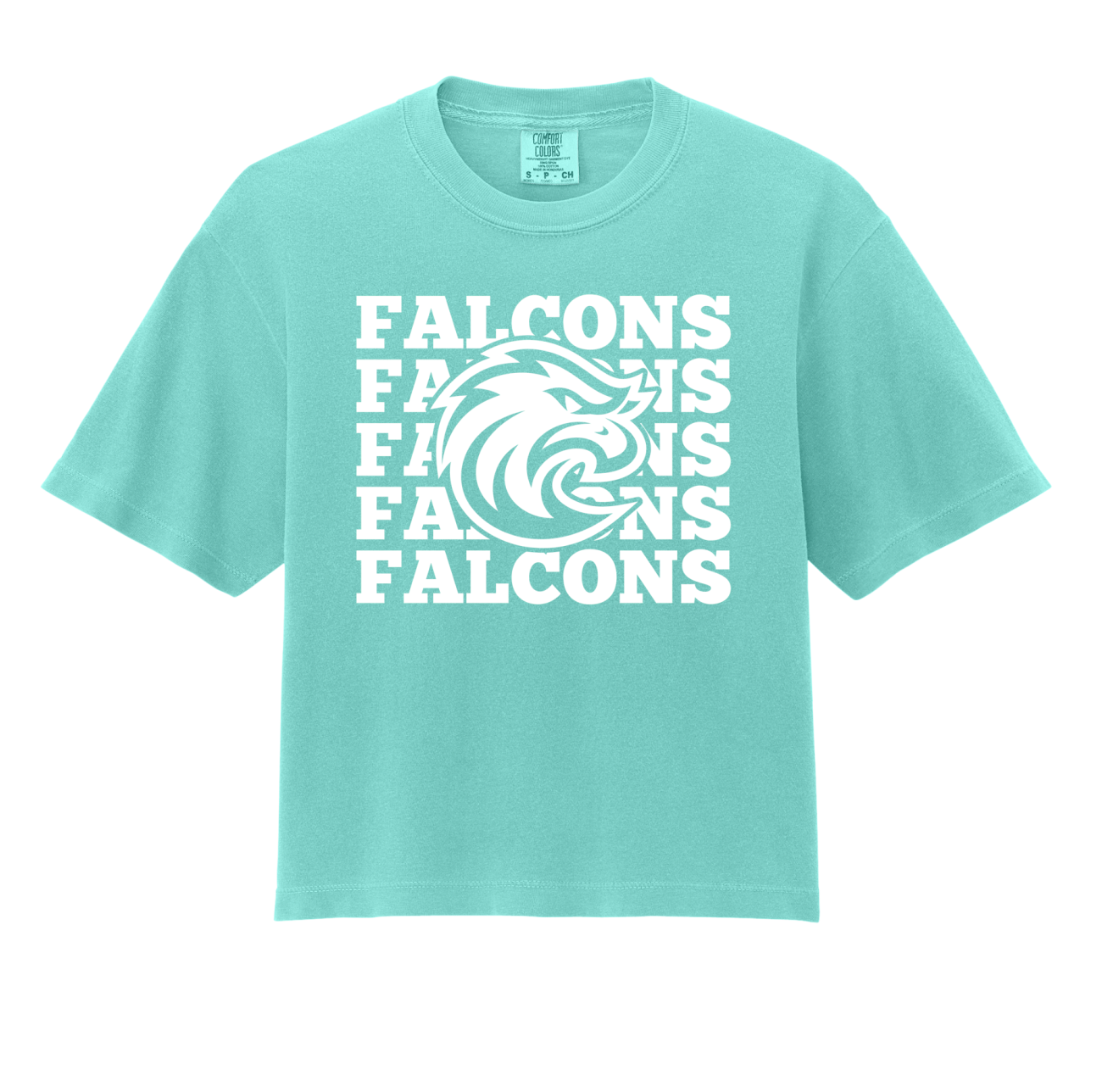 Falcons Boxy Tee (Mint)