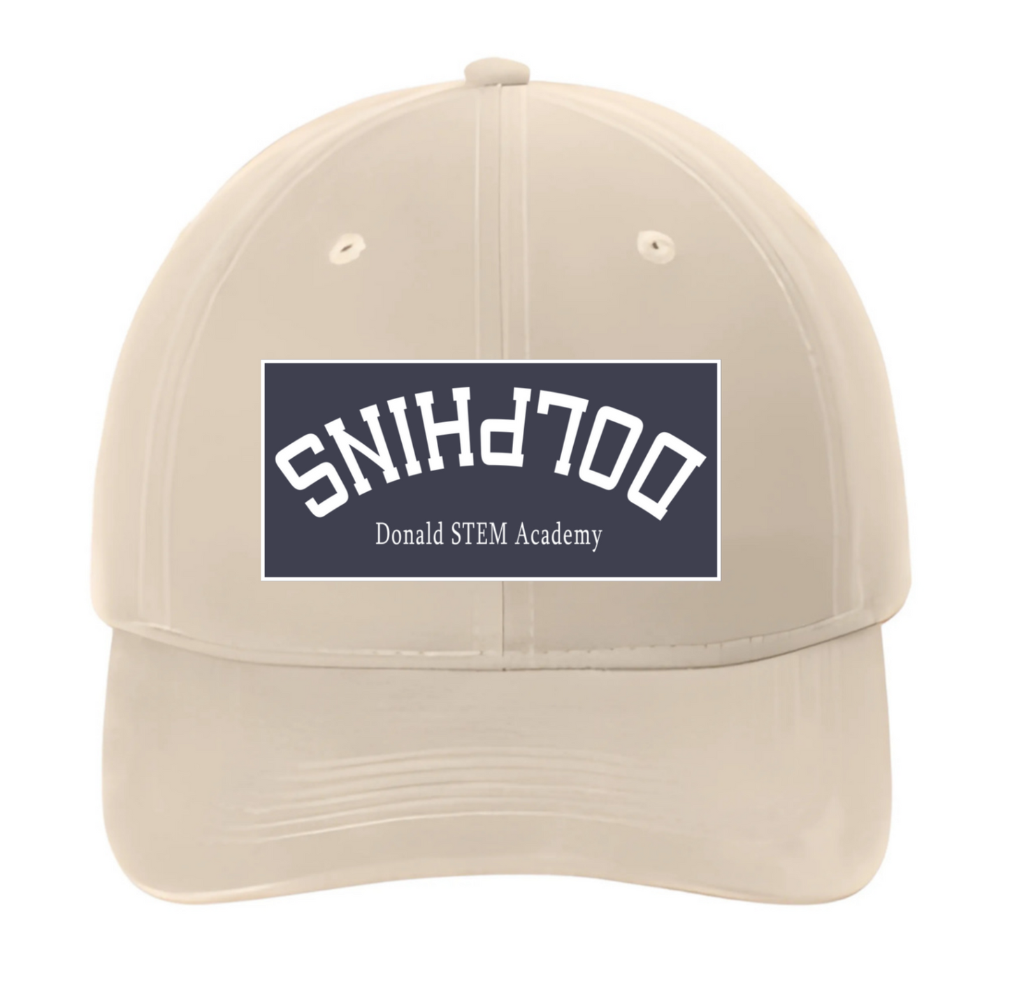 Dolphins Low Profile Hat